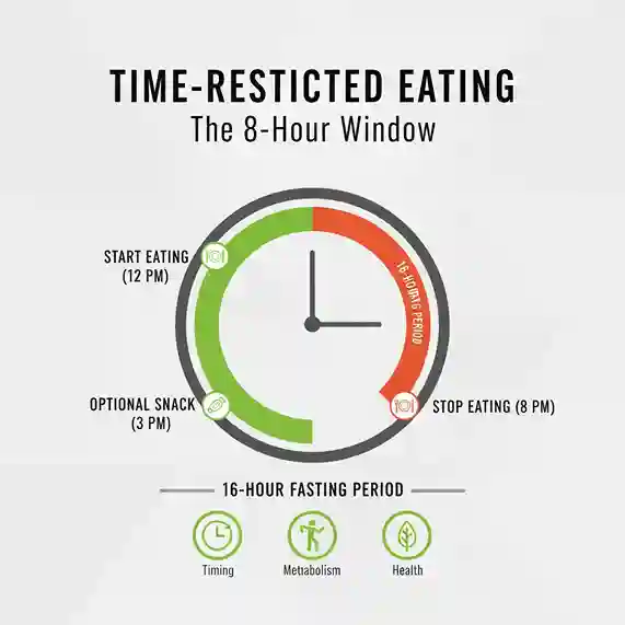 Best Diet Plans 2026 circadian rhythm example